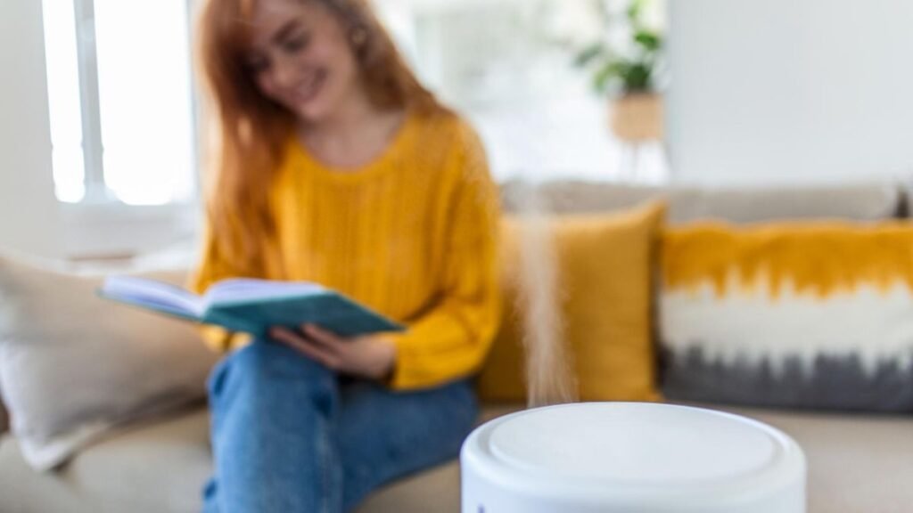 Manutenção do umidificador